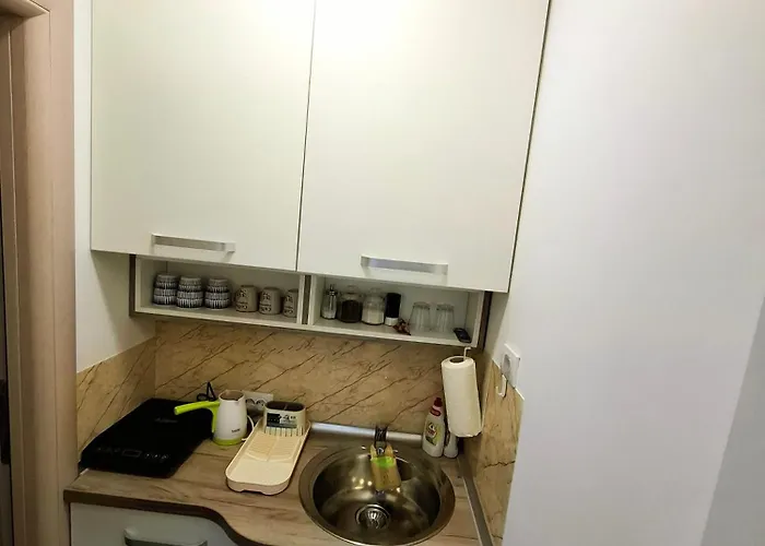 公寓 Gold Prokuplje